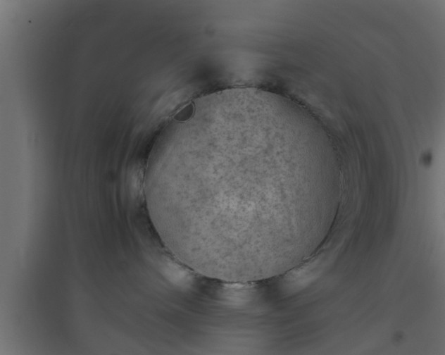 X0000094800240200711241430