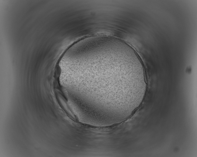 X0000094800241200711241430