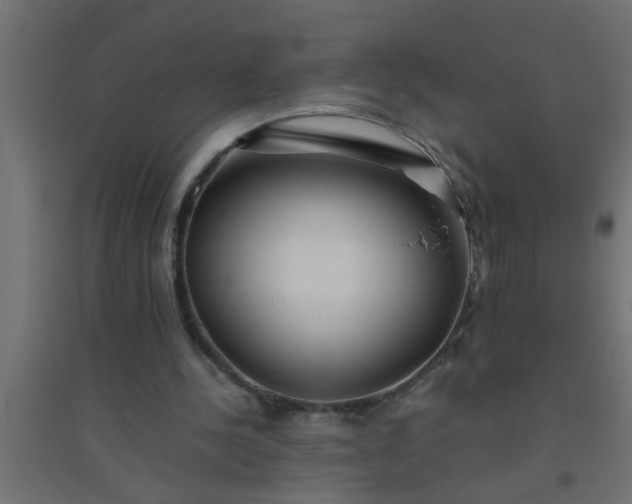X0000094800244200711241430