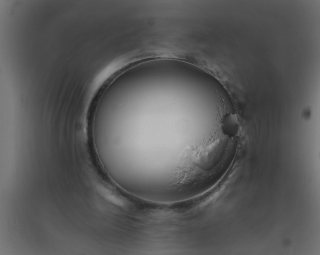X0000094800246200711241430