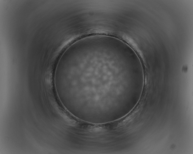 X0000094800249200711241430