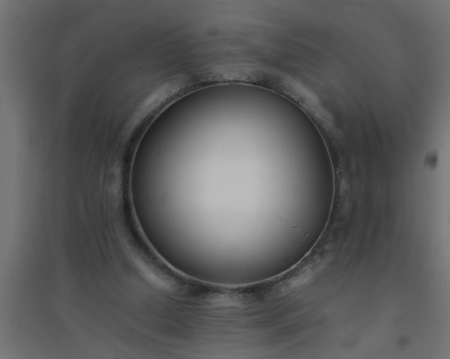 X0000094800250200711241430