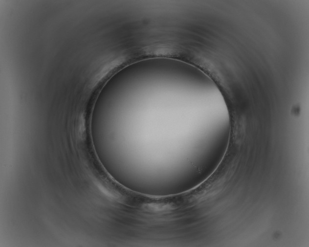 X0000094800251200711241430