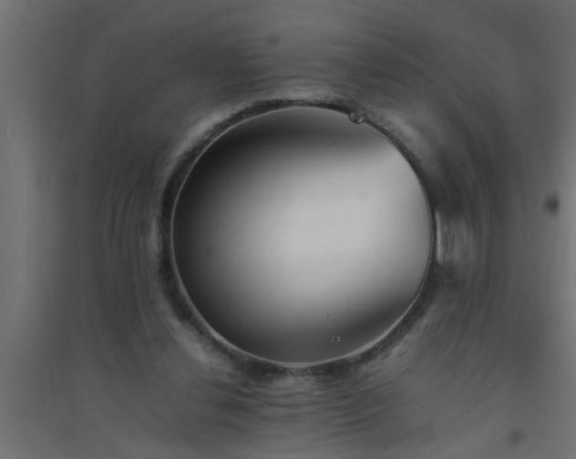 X0000094800252200711241430