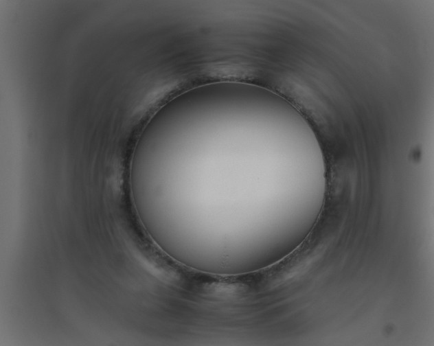 X0000094800255200711241430
