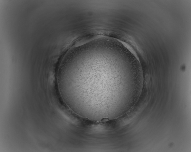 X0000094800259200711241430