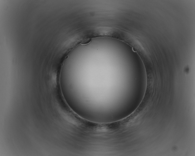 X0000094800262200711241430