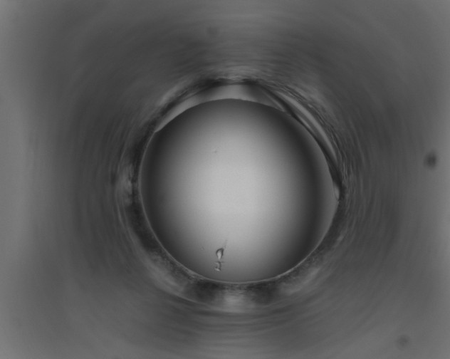 X0000094800264200711241430