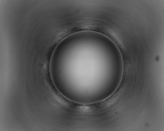 X0000094800265200711241430