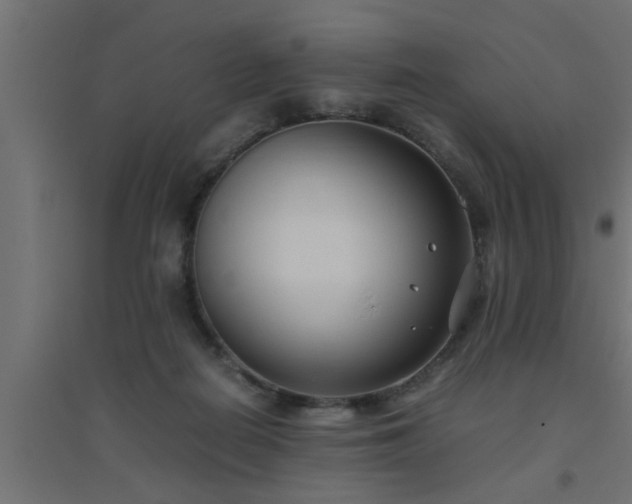 X0000094800266200711241430