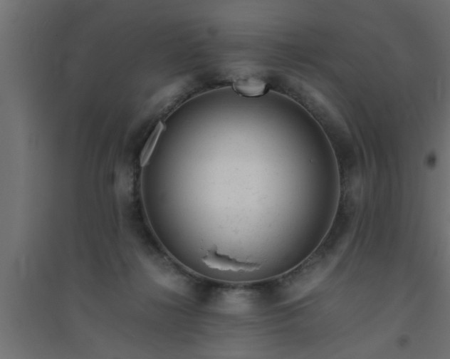 X0000094800268200711241430