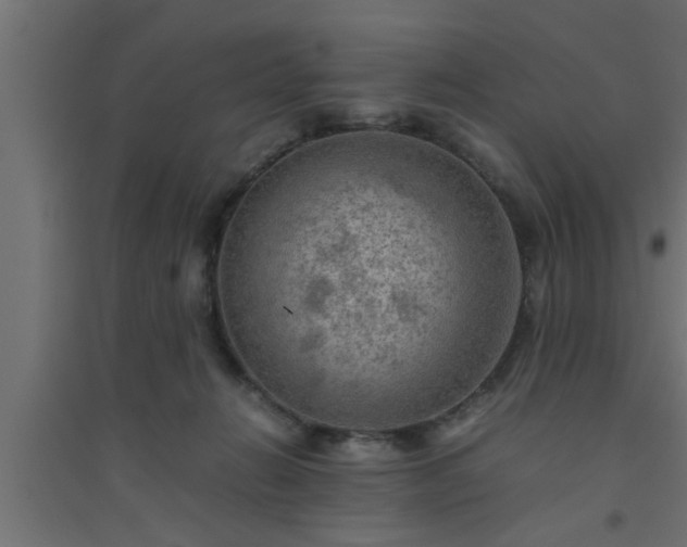 X0000094800270200711241430