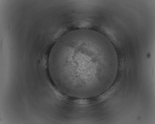 X0000094800273200711241430