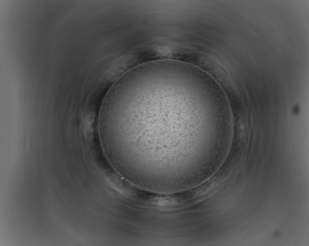 X0000094800275200711241430