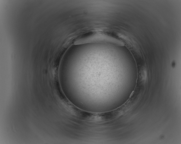 X0000094800276200711241430