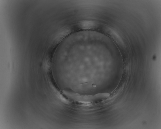 X0000094800277200711241430