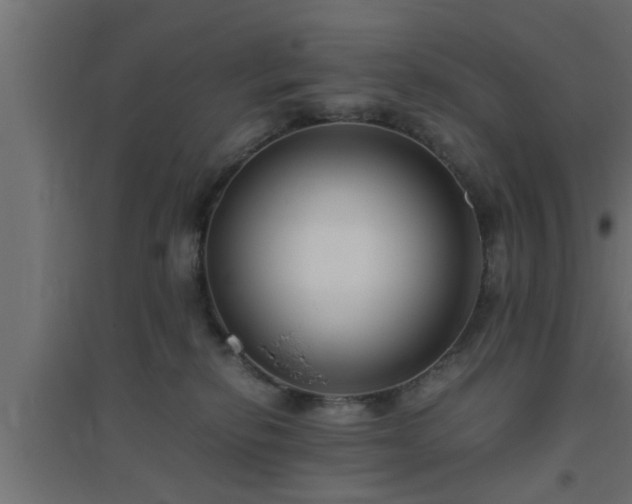 X0000094800278200711241430