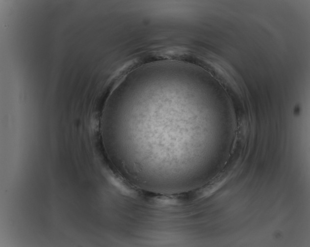 X0000094800284200711241430