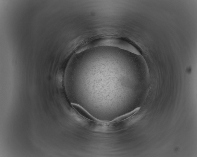 X0000094800288200711241430