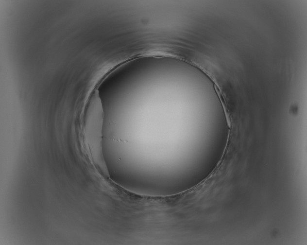 X0000094800289200711241430