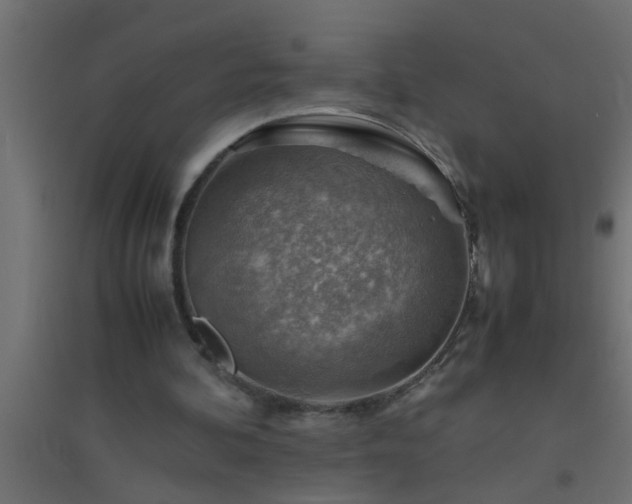 X0000094800292200711241430