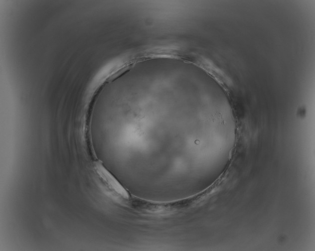 X0000094800293200711241429