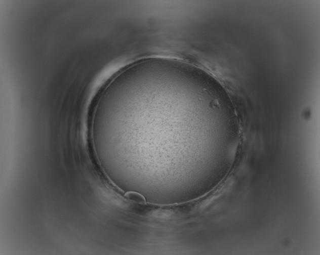 X0000094800294200711241429