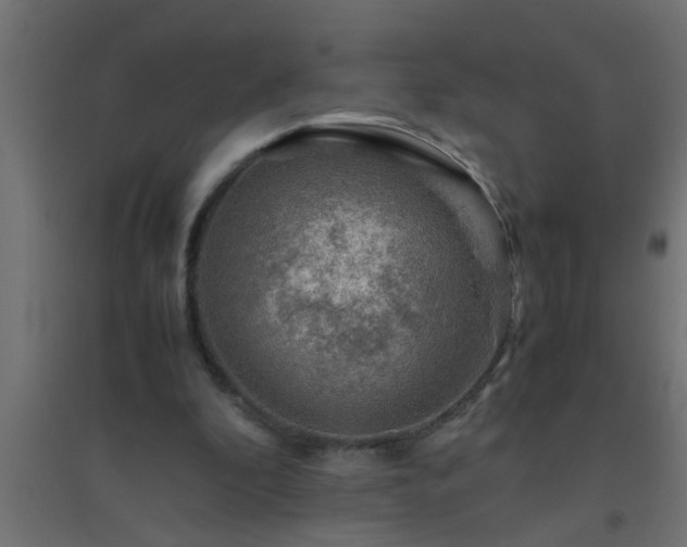X0000094800296200711241429