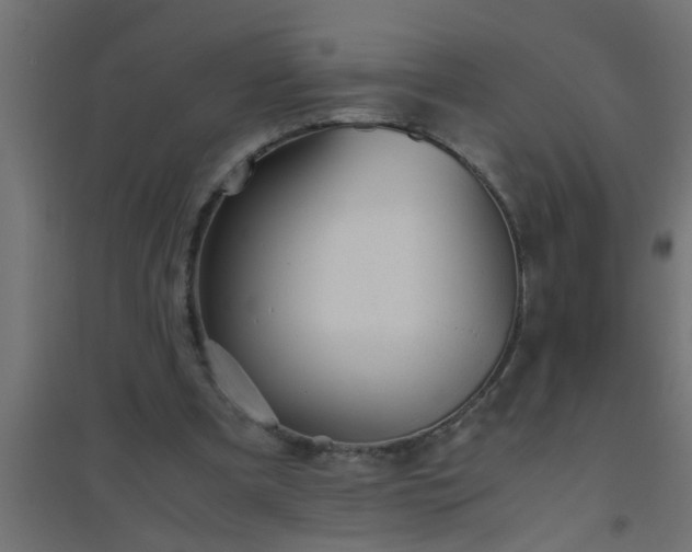X0000094800297200711241429