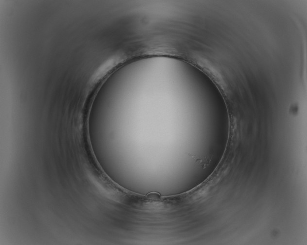 X0000094800298200711241429