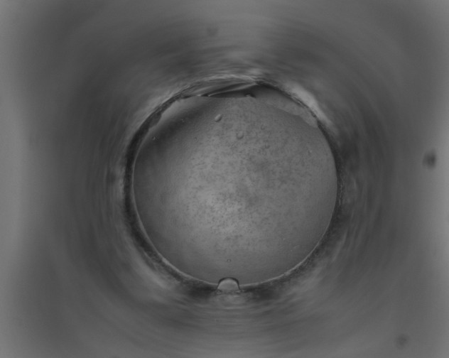 X0000094800299200711241429