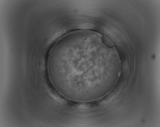 X0000094800303200711241429