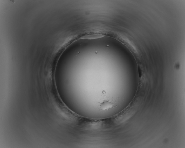 X0000094800306200711241429