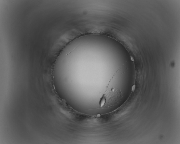 X0000094800307200711241429
