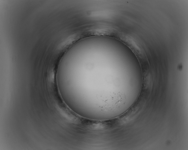 X0000094800310200711241429