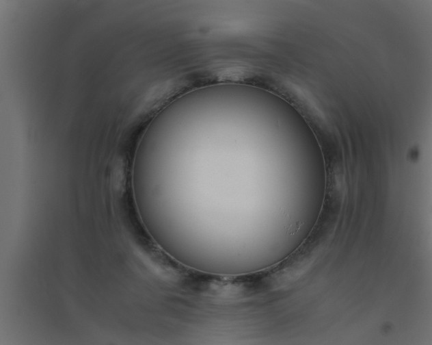 X0000094800311200711241429