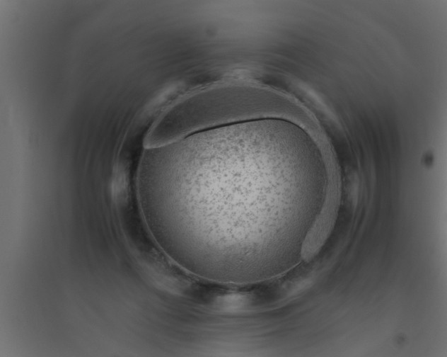 X0000094800312200711241429