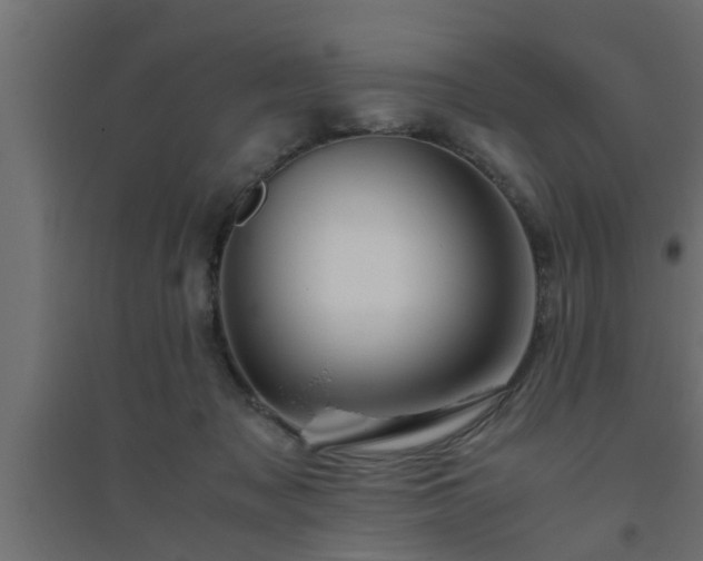 X0000094800317200711241429