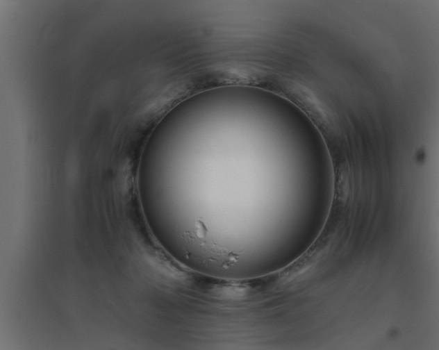 X0000094800318200711241429