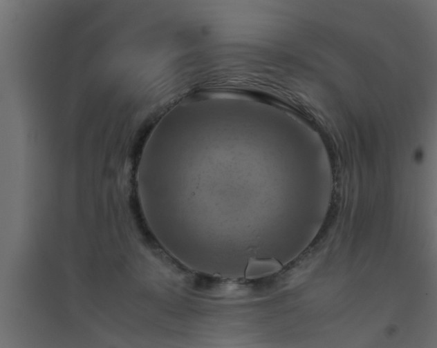 X0000094800319200711241429