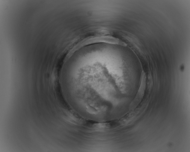 X0000094800320200711241429