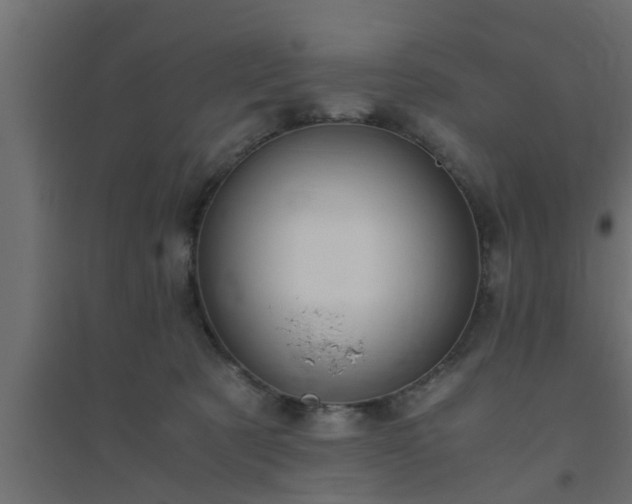 X0000094800321200711241429
