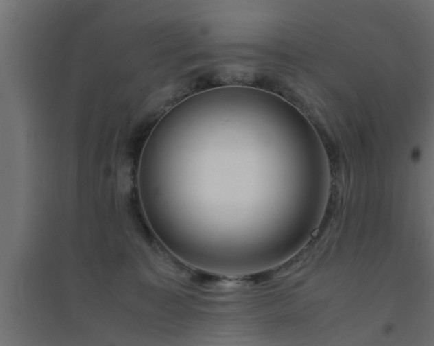 X0000094800323200711241429