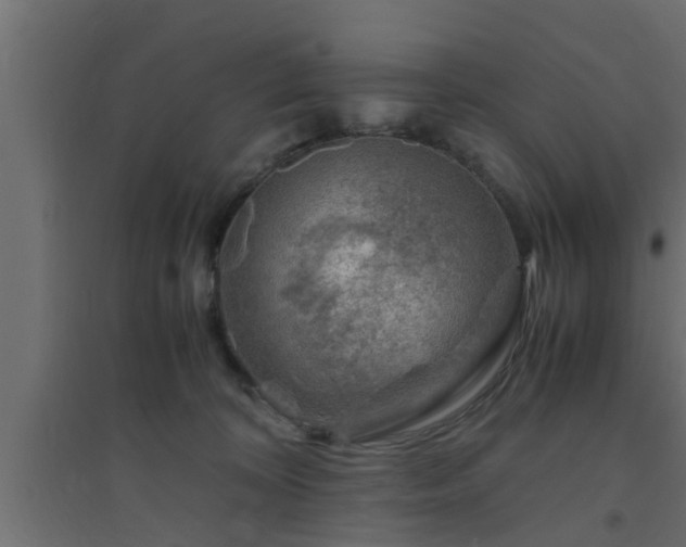 X0000094800324200711241429