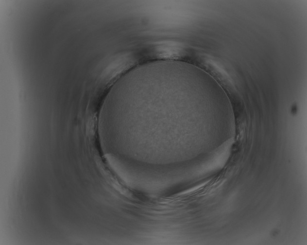 X0000094800325200711241429