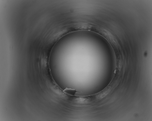 X0000094800326200711241429
