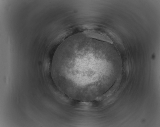 X0000094800328200711241429