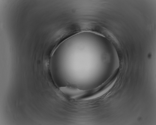 X0000094800329200711241429
