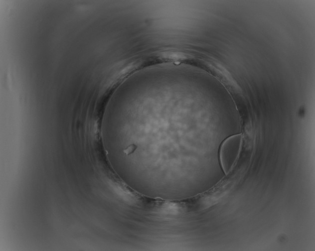 X0000094800330200711241429