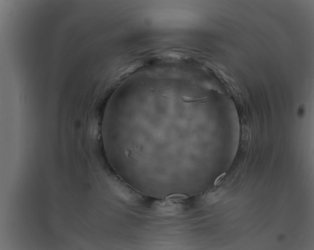 X0000094800331200711241429